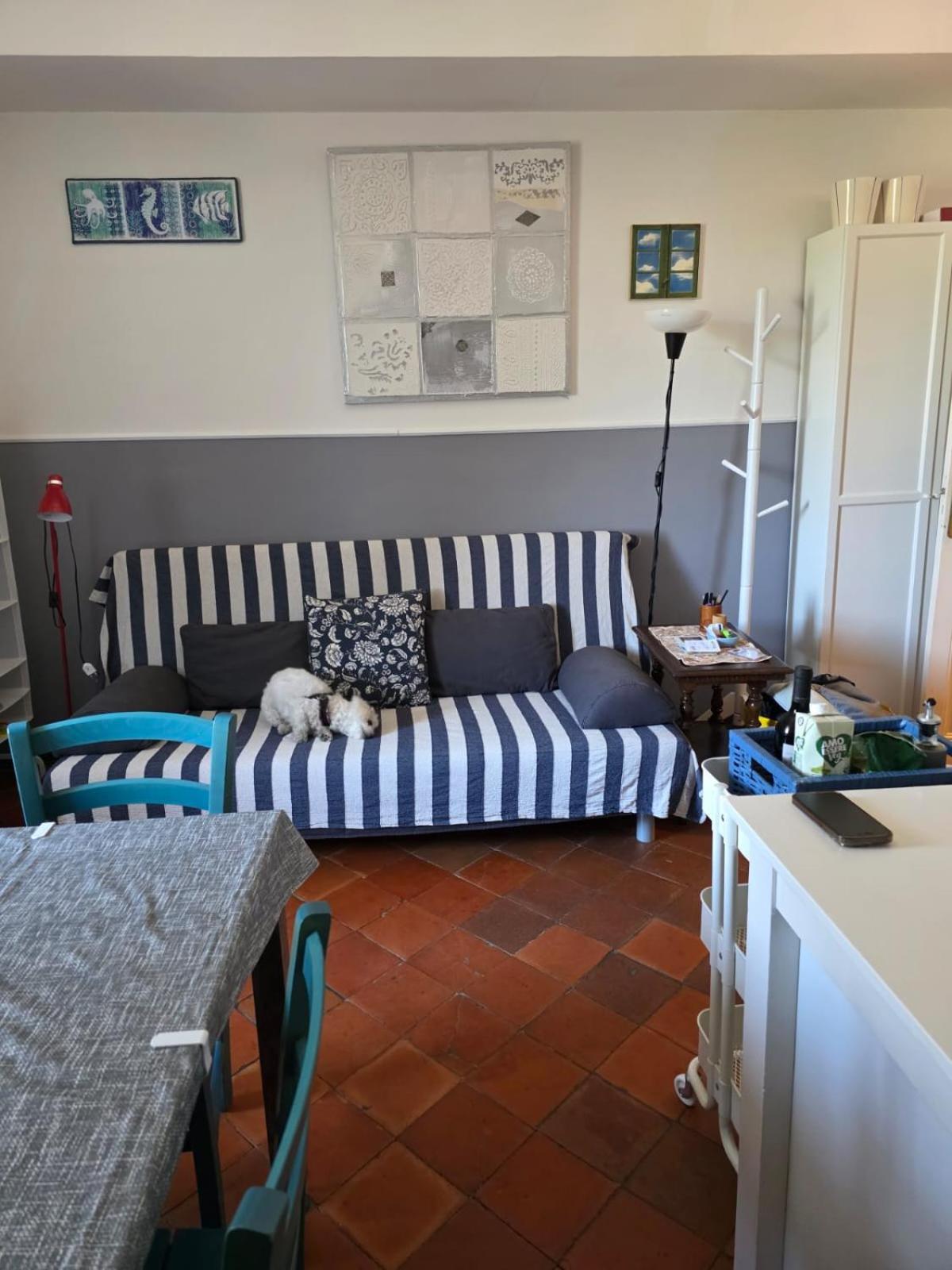 דירות אימפריה The Shell - New Interior Look But Same Old Charme 200Mt From The Sea With Garden And Parking Nearby מראה חיצוני תמונה