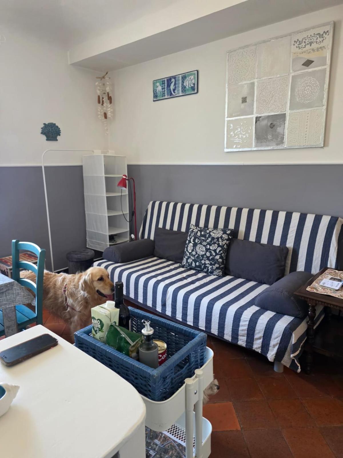 דירות אימפריה The Shell - New Interior Look But Same Old Charme 200Mt From The Sea With Garden And Parking Nearby מראה חיצוני תמונה